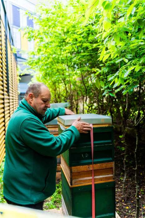 Imker Jan MOA Berlin Dach Bienen Honig nachhaltig