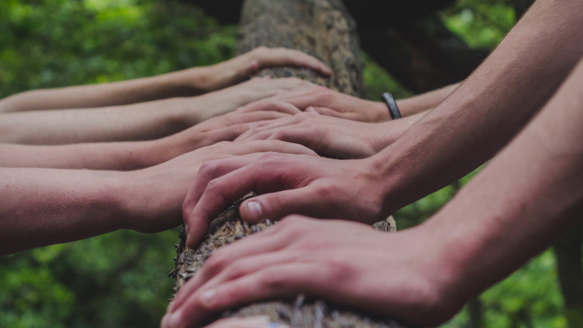 Several hands rest on a fallen tree trunk amid a green forest setting.