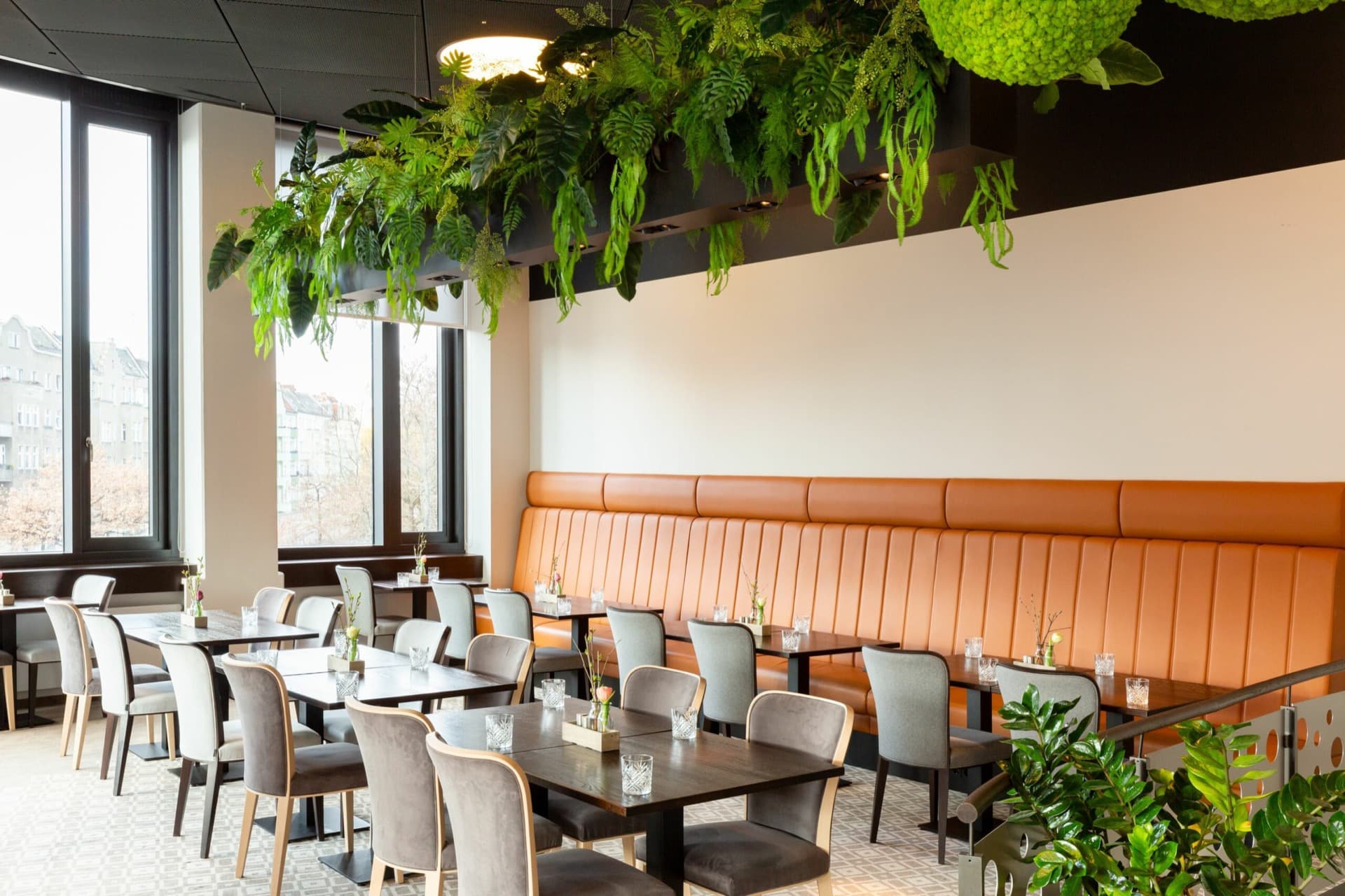 Ein helles Restaurant in Moabit mit großen Fenstern, gepolsterten Stühlen, Holztischen und grünen Pflanzen über der Sitzbank.