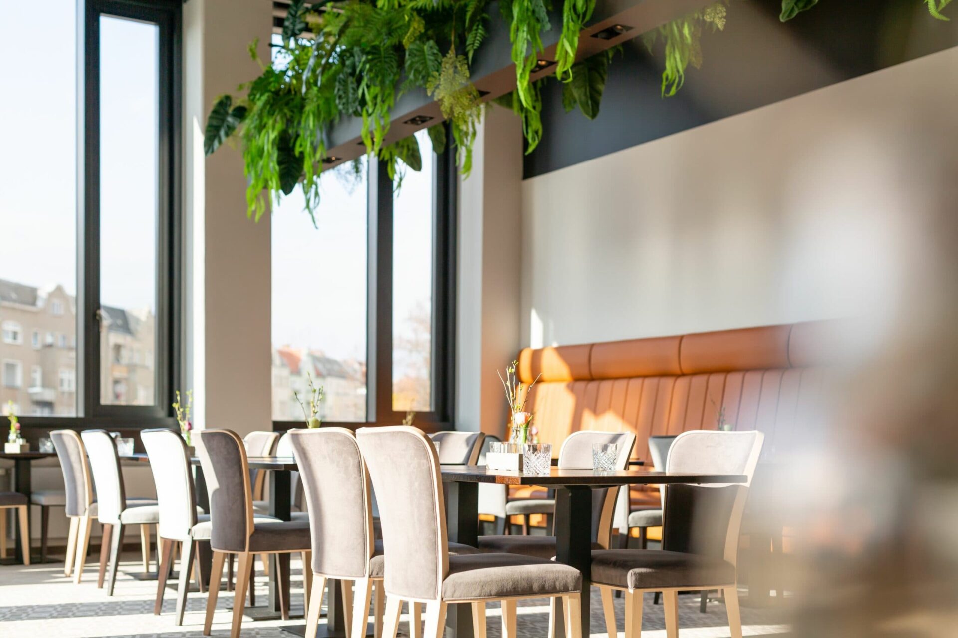 Ein helles Restaurant in Moabit mit großen Fenstern, gepolsterten Stühlen, Holztischen und grünen Pflanzen über der Sitzbank.