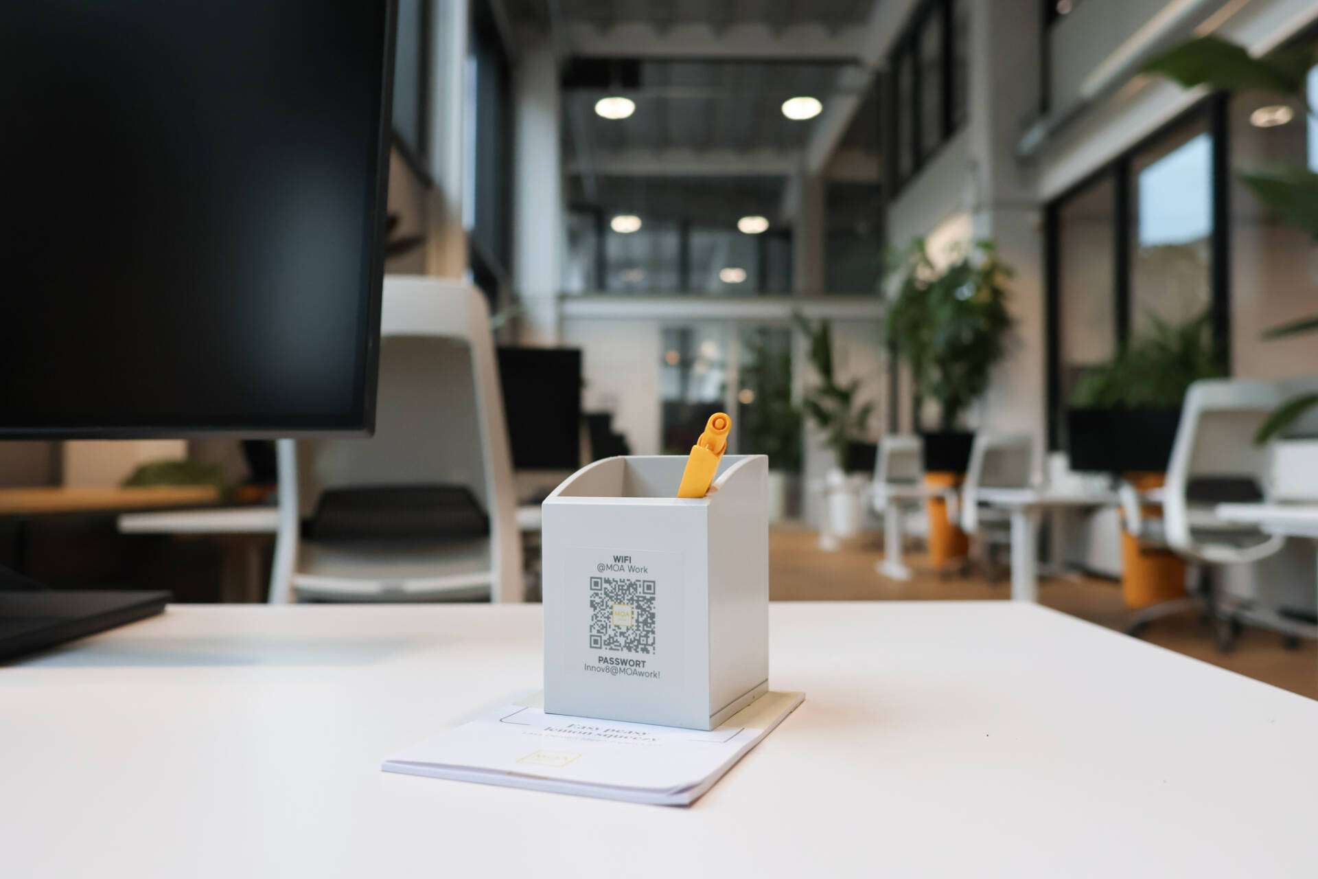A bright co-working area with desks, chairs, plants and a container of pens on a white table.