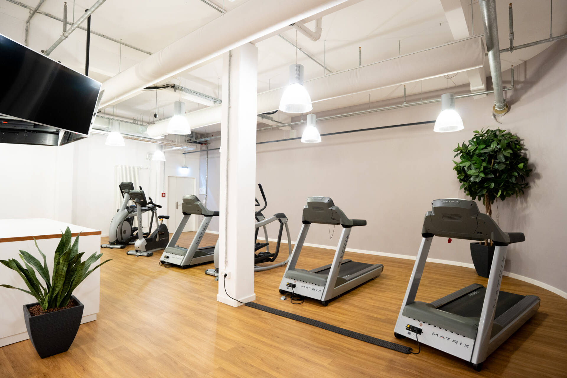 Heller Fitnessraum mit mehreren Laufbändern, weiteren Cardiogeräten, Holzboden, weißen Säulen und großen Zimmerpflanzen.