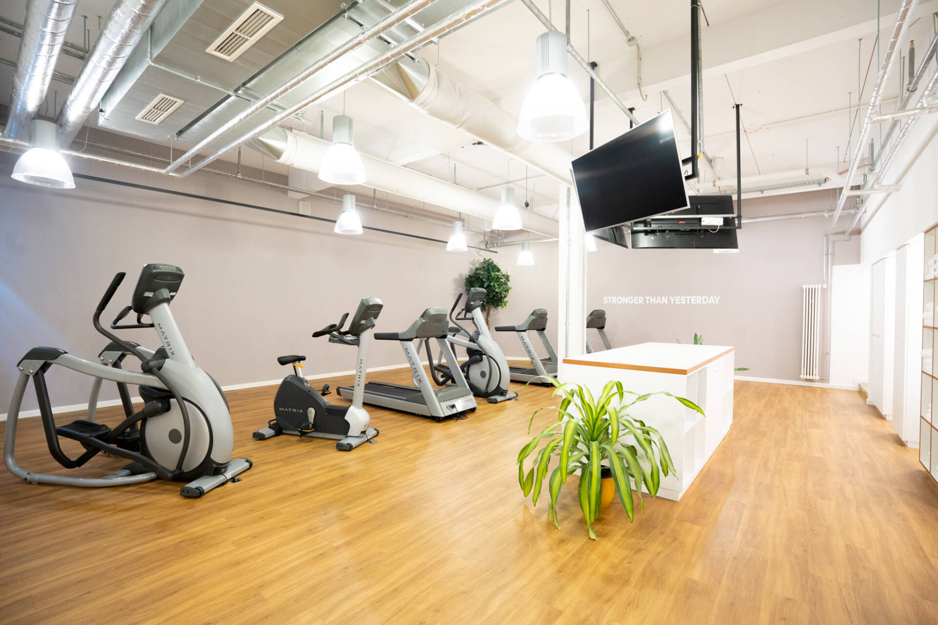 Ein moderner Fitnessraum mit mehreren Cardiogeräten, Holzfußboden, Deckenleuchten, einem Bildschirm und einer Pflanze im Vordergrund.