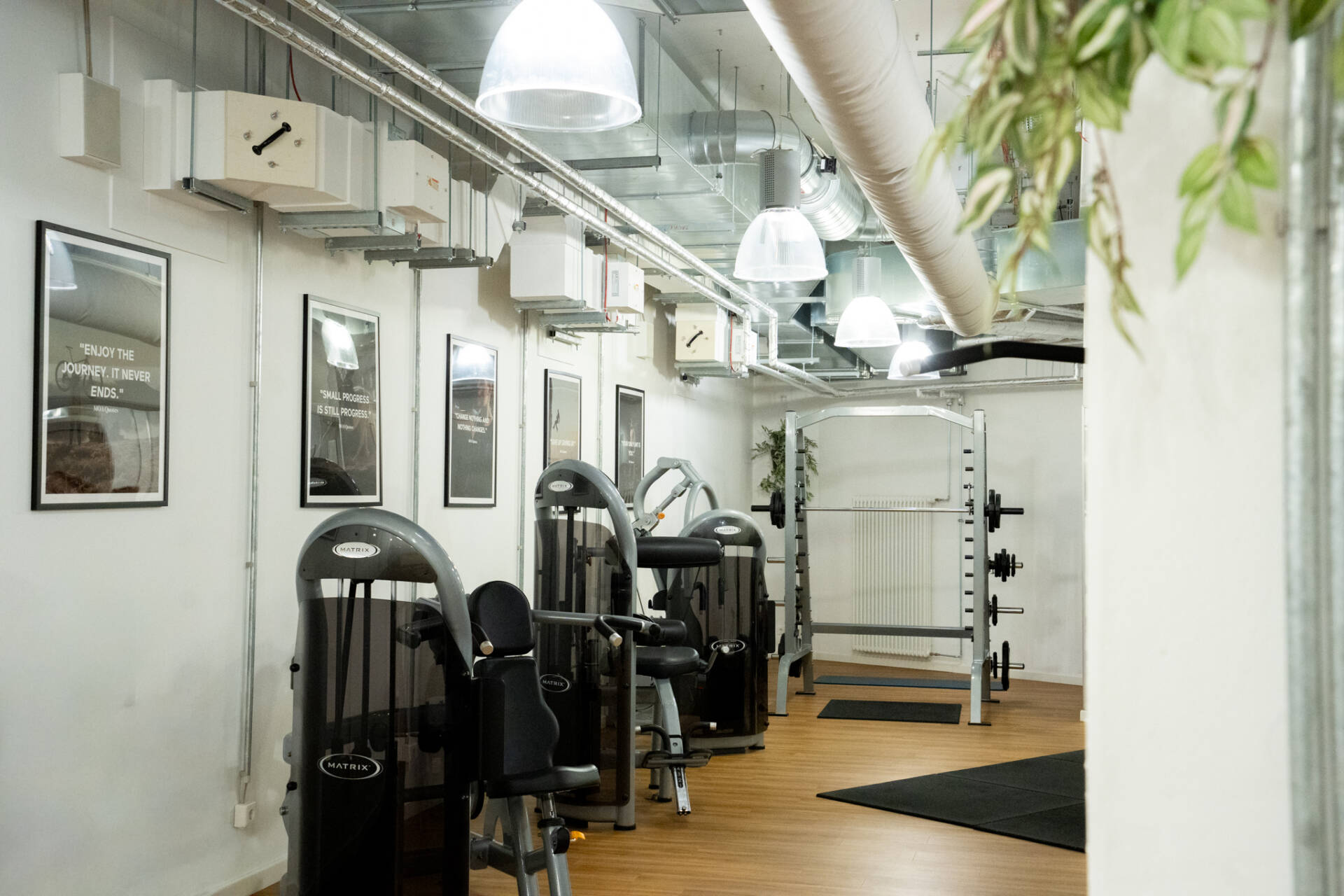 Heller Fitnessraum mit verschiedenen Krafttrainingsgeräten, Hanteln, Spiegeln, Holzfußboden und großen Deckenleuchten.
