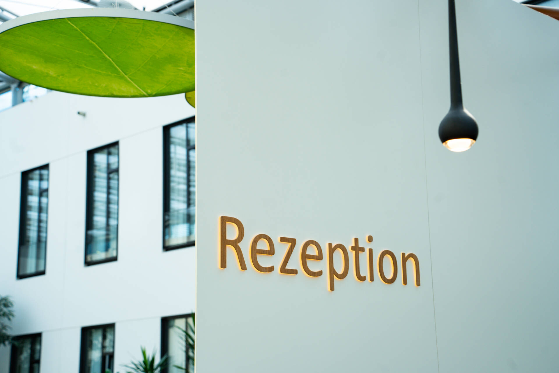 Ein moderner Innenbereich mit dem gut sichtbaren Schriftzug „Rezeption“, einer Hängeleuchte und einer großen grünen Pflanze.