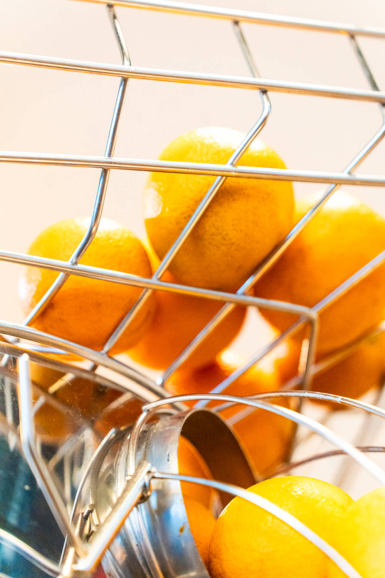 Mehrere Orangen und Zitronen liegen in einem glänzenden Metallkorb mit gebogenen Gitterstreben.