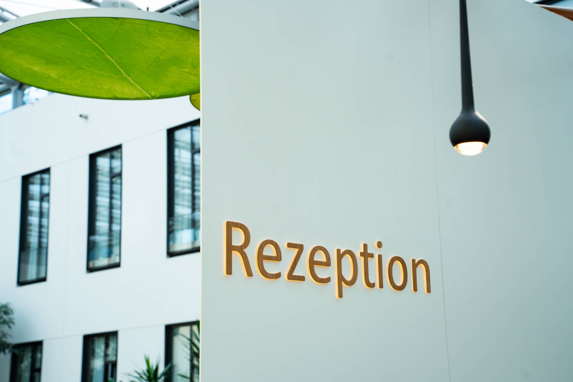 Reception Mood -1